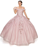 Cinderella Couture - Quincenera - 8020J