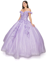 Cinderella Couture - Quincenera - 8020J