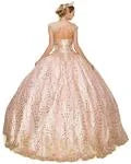Cinderella Couture - Quincenera - 8024J