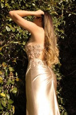 Ladivine - Prom Dress - CDS412