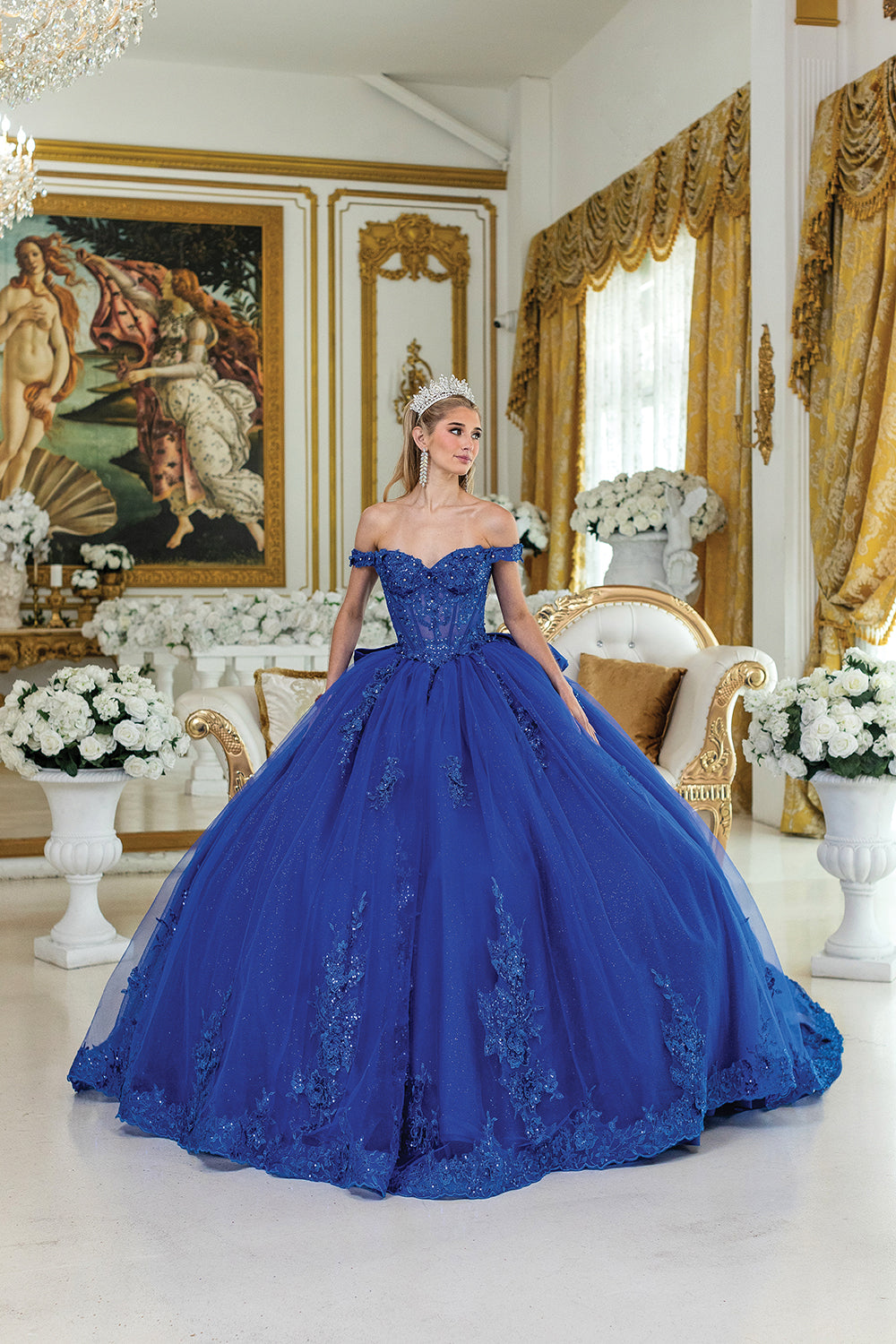 Willinkii blue queen（OC） Dancing Queen - DQ5054Q – Princess Diaries KX Online
